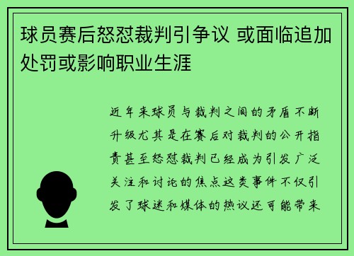 球员赛后怒怼裁判引争议 或面临追加处罚或影响职业生涯